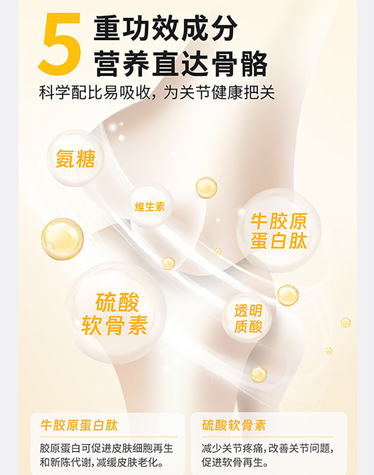 猫犬用骨汤+胶原蛋白粉详情图