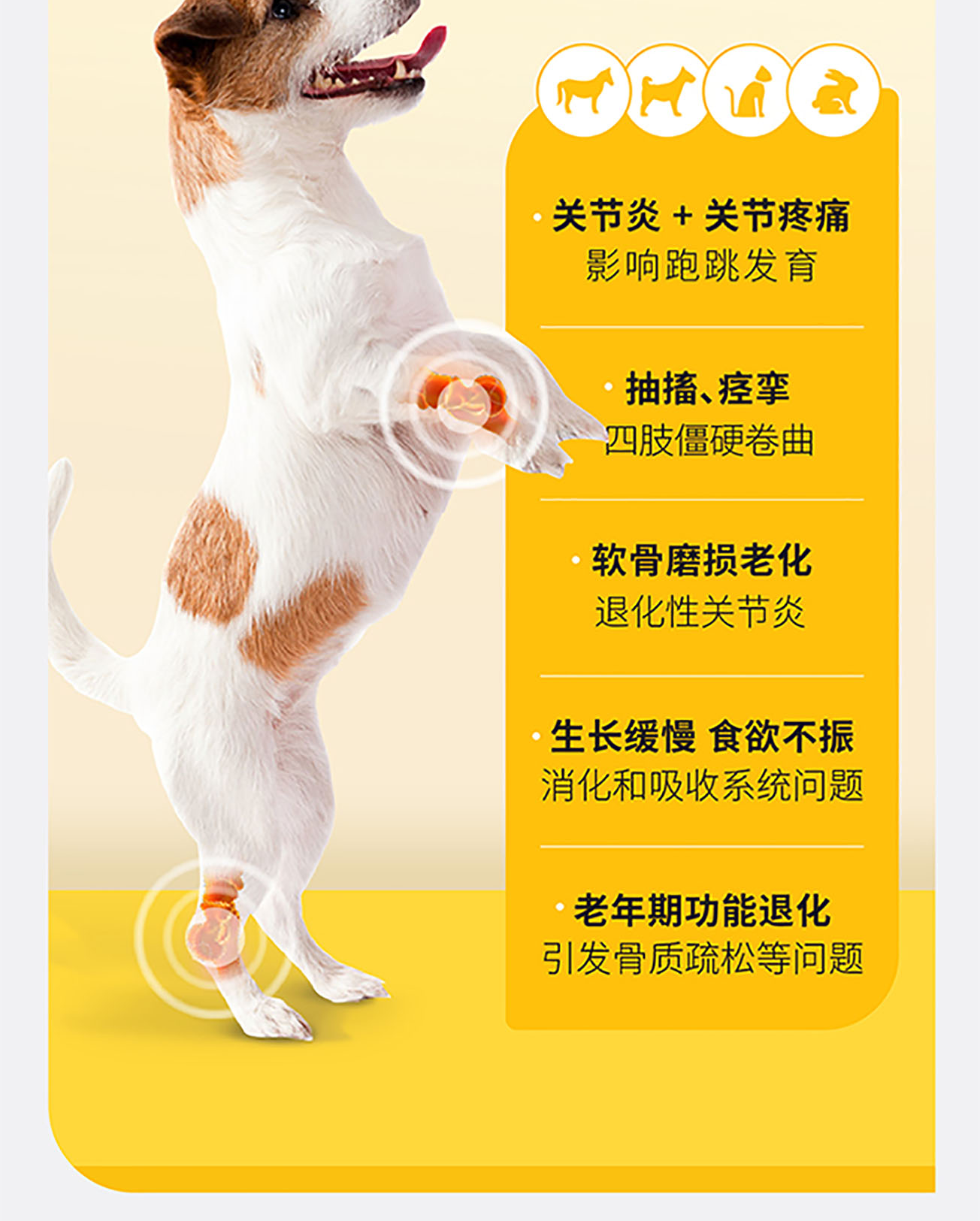 猫犬用骨汤+胶原蛋白粉详情图