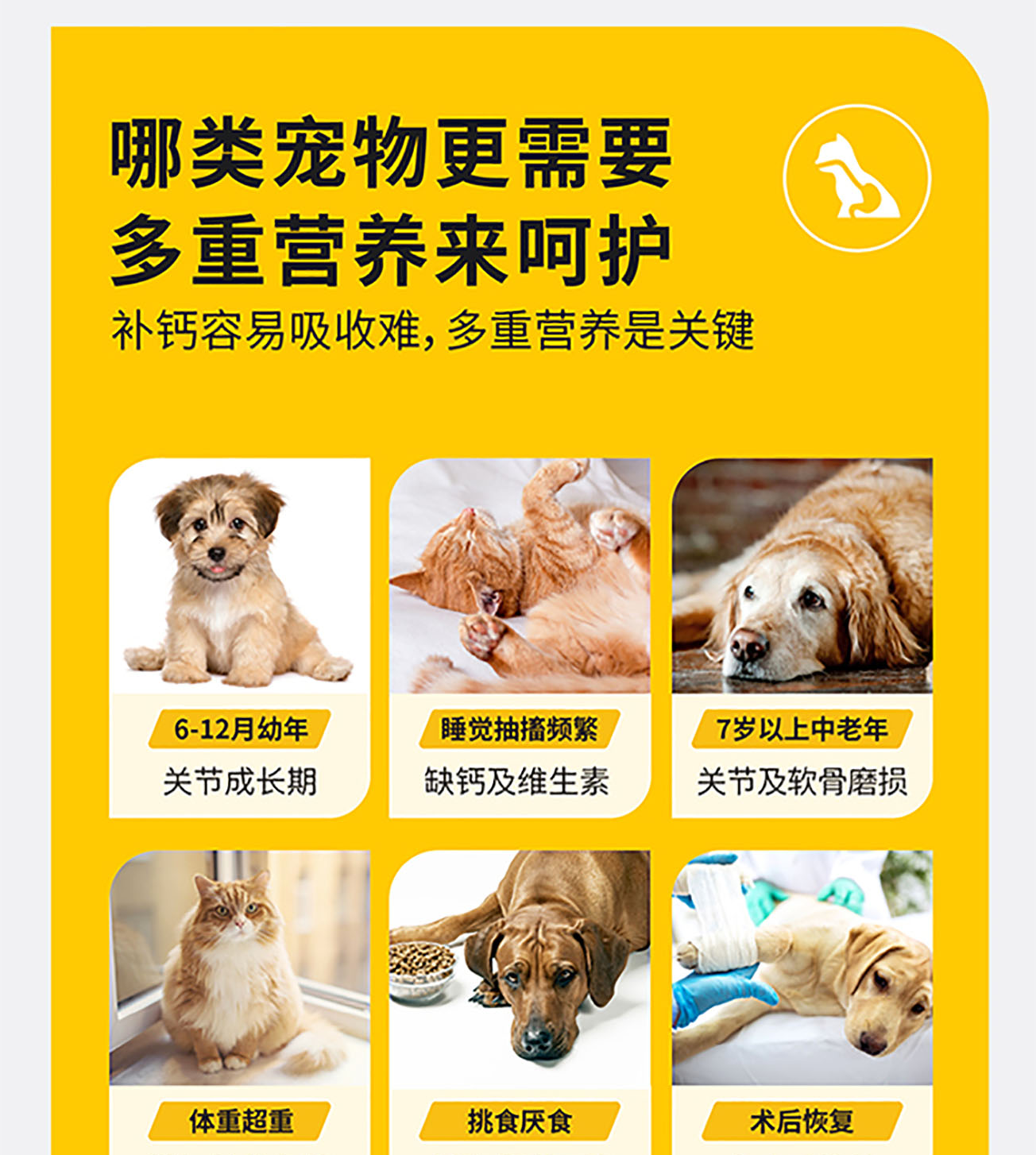 猫犬用骨汤+胶原蛋白粉详情图