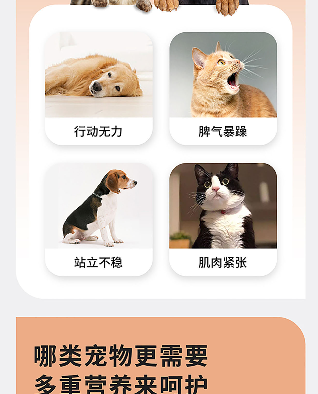 猫犬用增肌健骨粉详情图