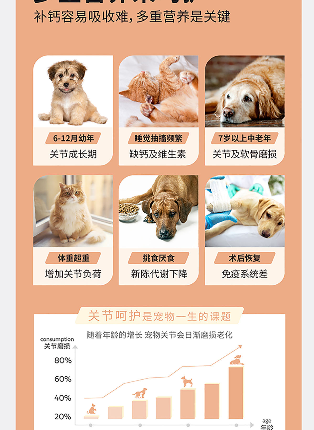 猫犬用增肌健骨粉详情图