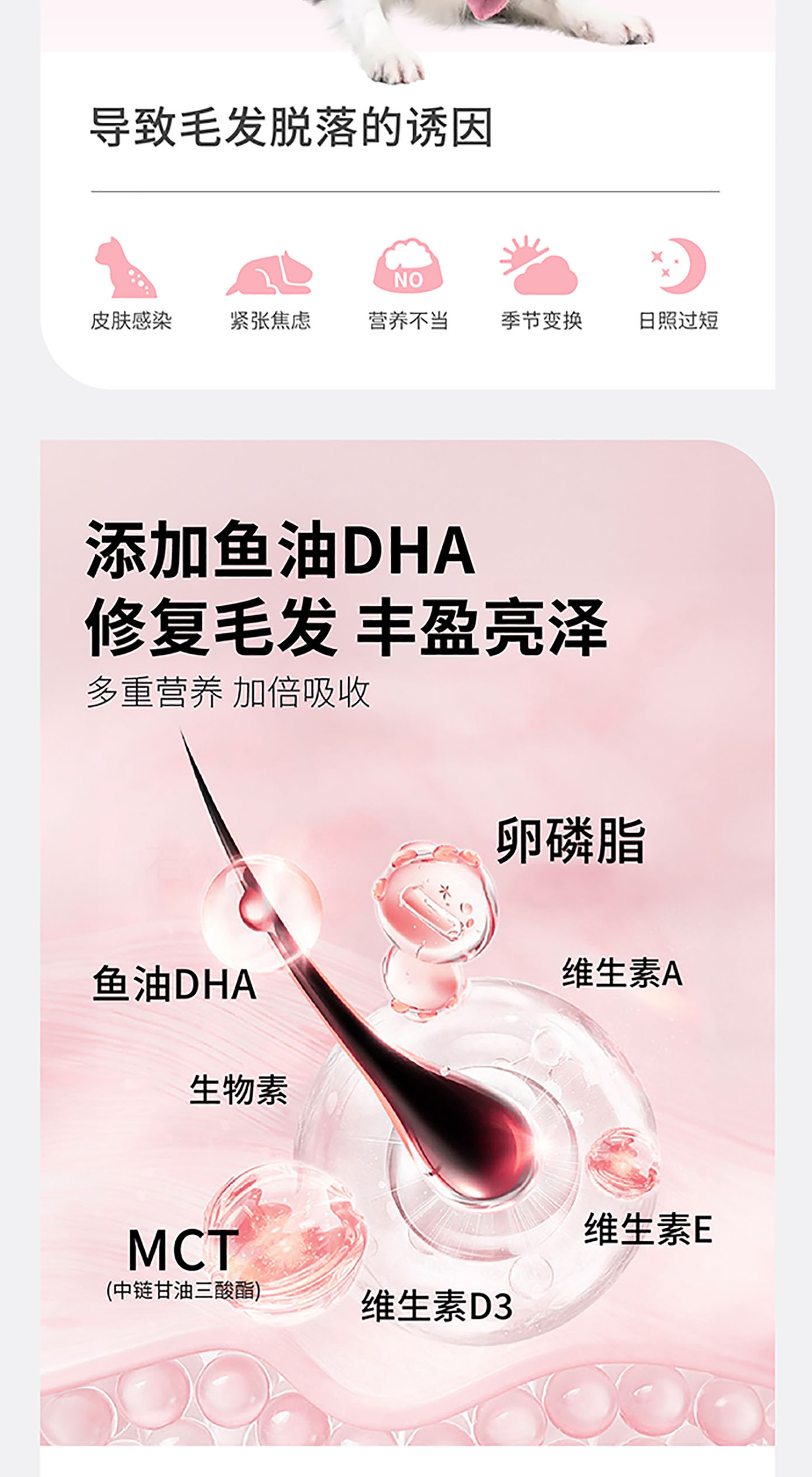 猫犬用美毛健肤粉详情图