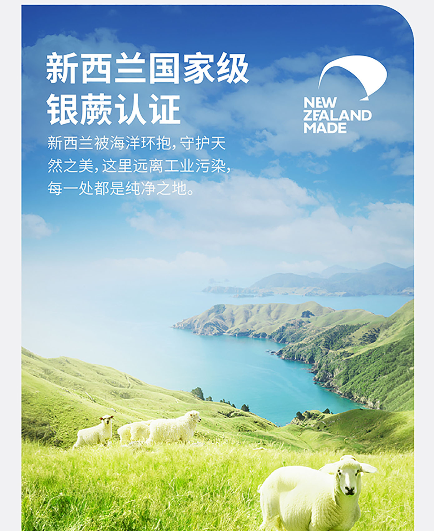 猫犬用美毛健肤粉详情图