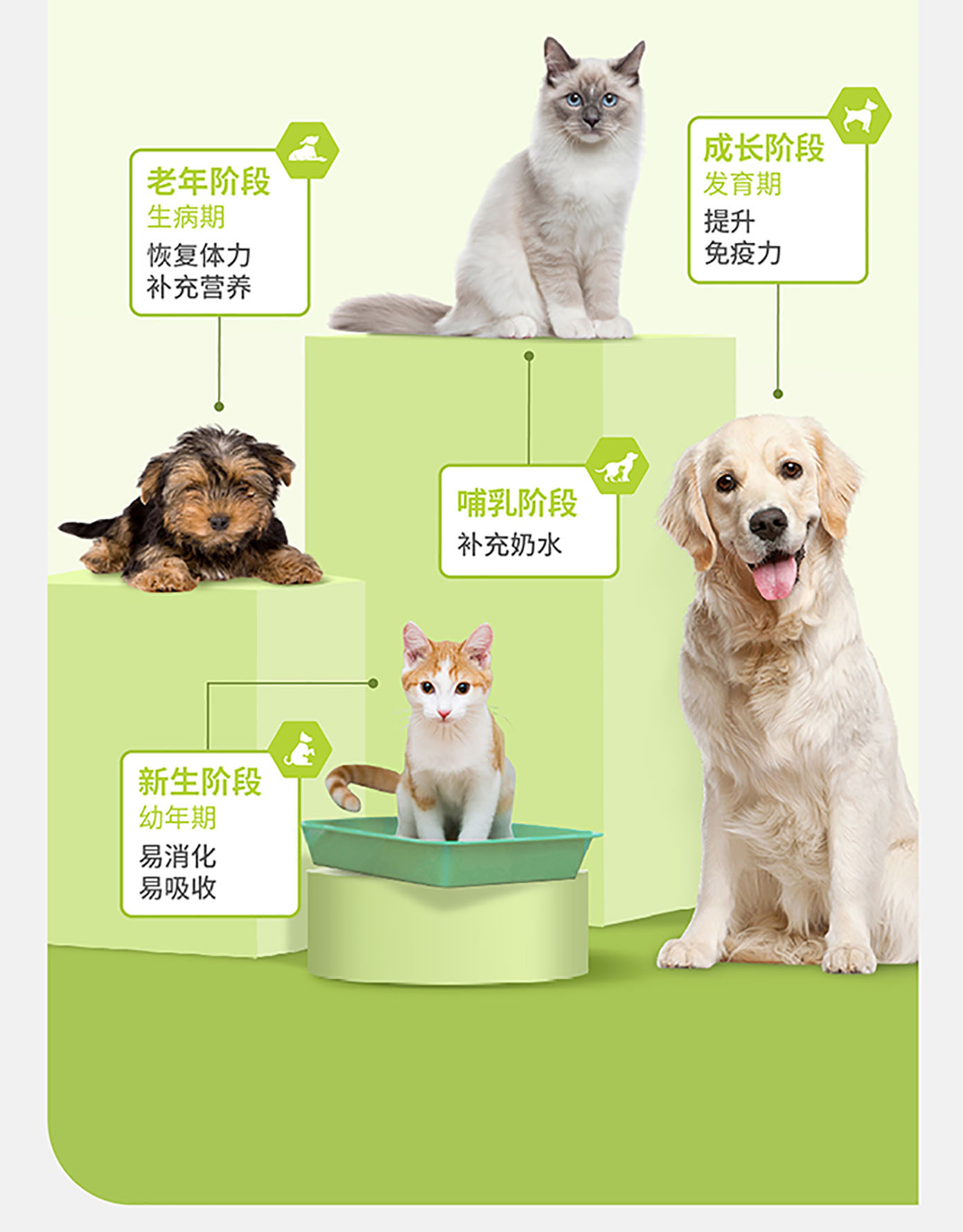 猫犬用羊奶修复活力粉详情图