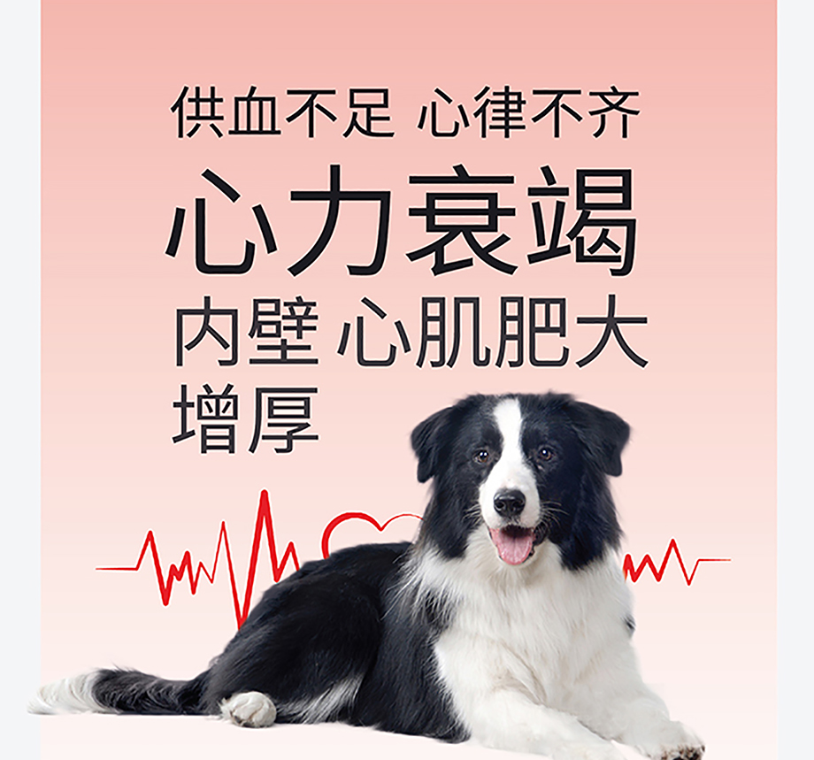猫犬用护心粉详情图