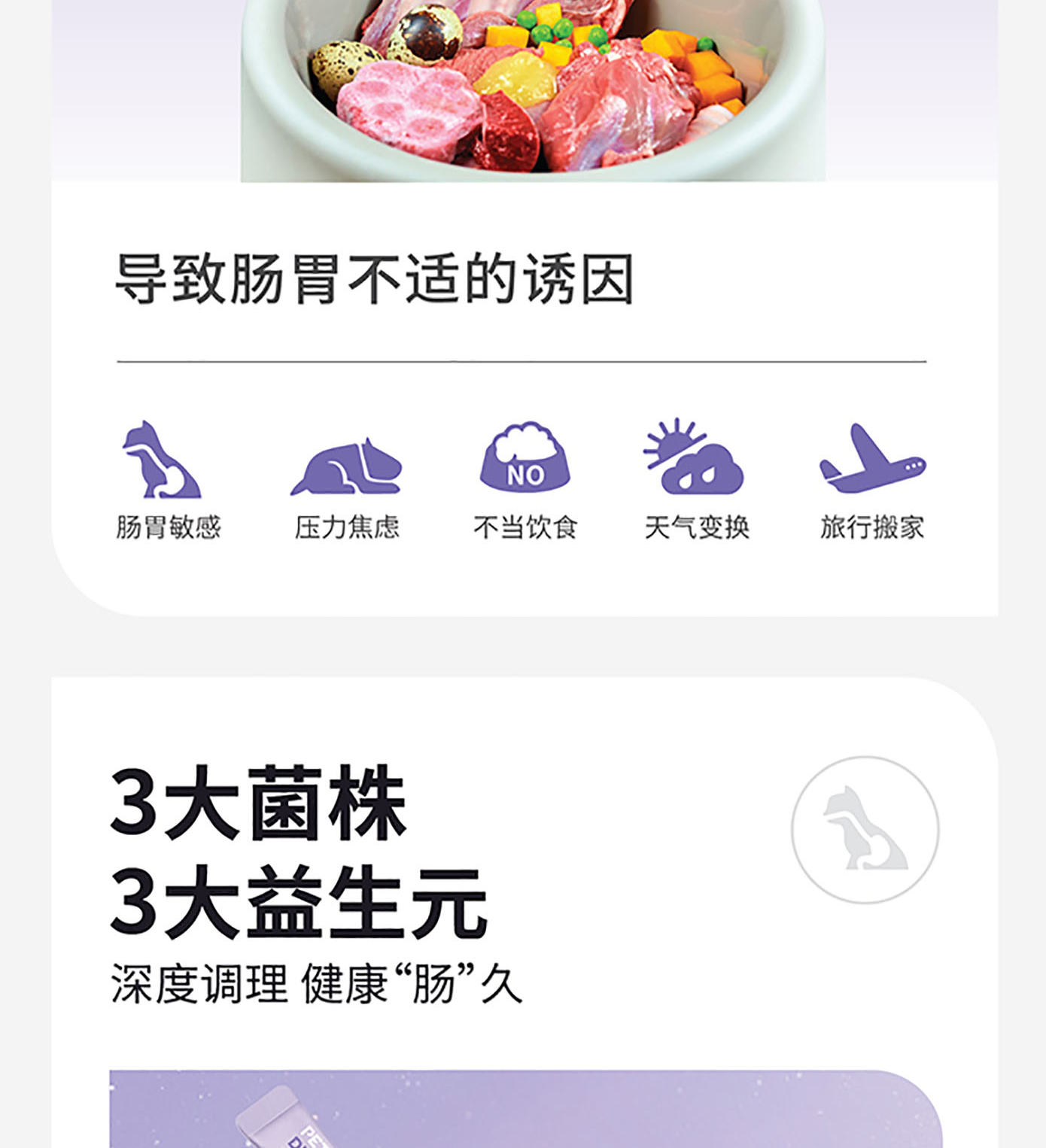 猫犬用益生菌肠胃粉详情图