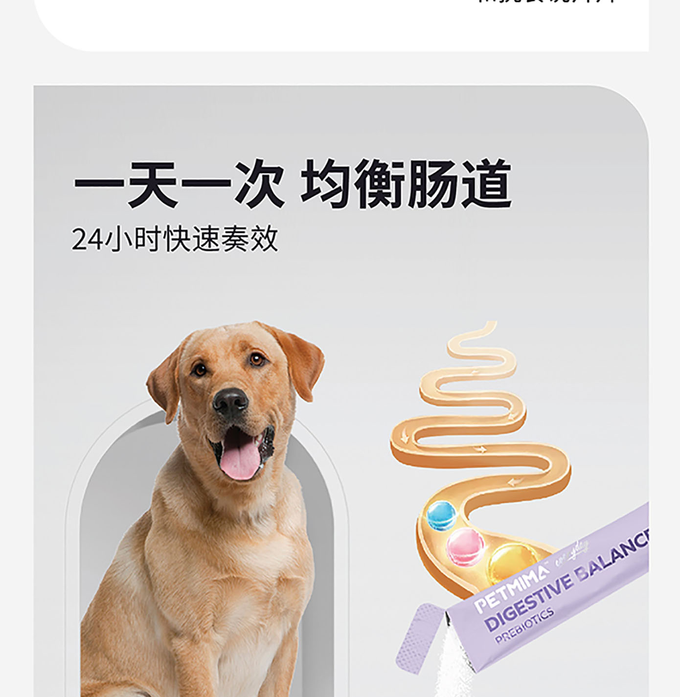 猫犬用益生菌肠胃粉详情图